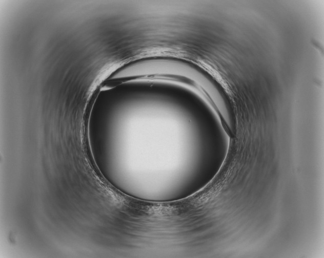 X0000096451277200802071803