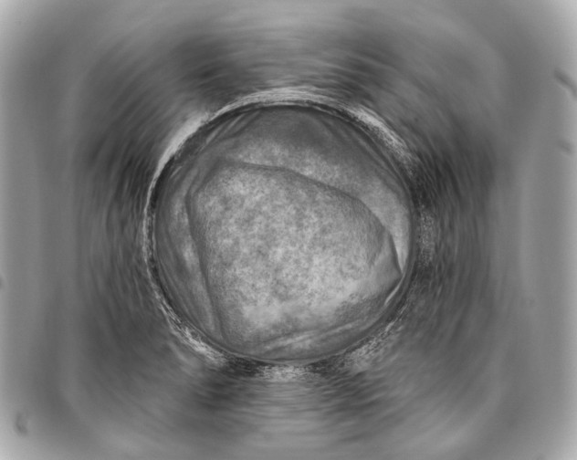 X0000096451278200802071803