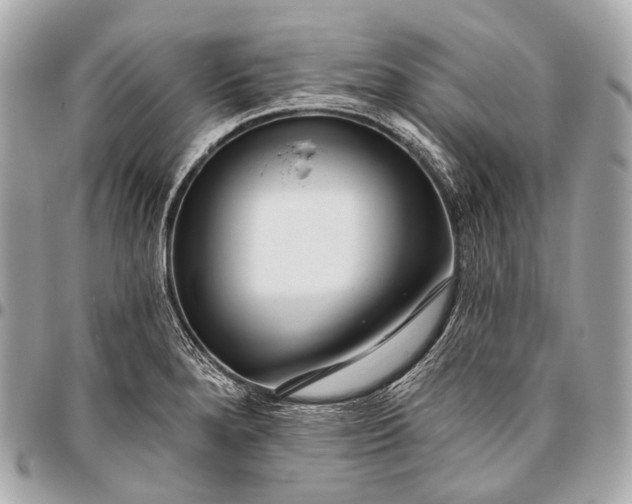 X0000096451280200802071803