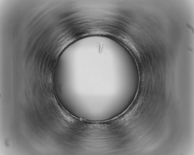 X0000096451281200802071803