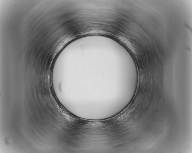 X0000096451282200802071803