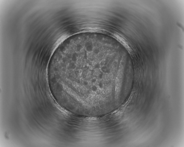 X0000096451283200802071803