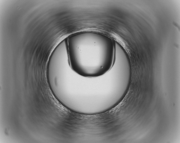 X0000096451284200802071803