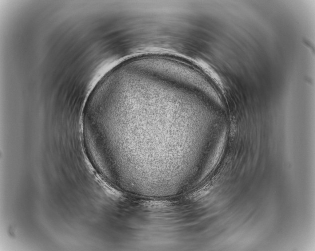 X0000096451287200802071803