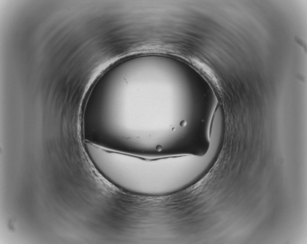 X0000096451288200802071802