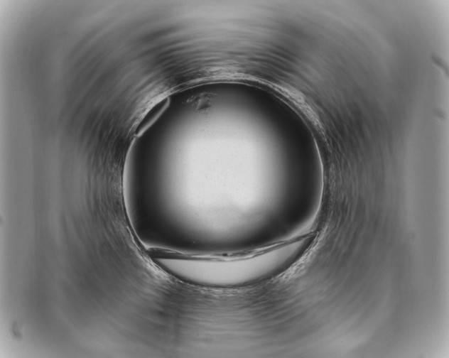 X0000096451289200802071802