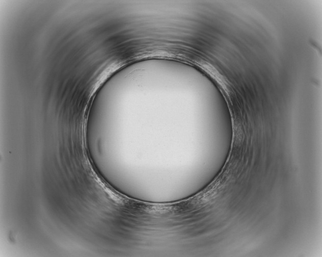 X0000096451290200802071802