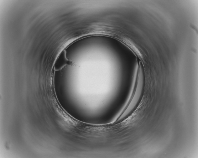 X0000096451292200802071802