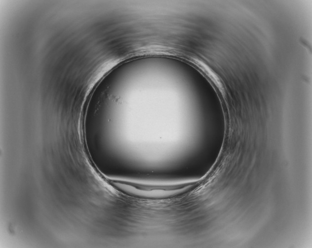 X0000096451293200802071802