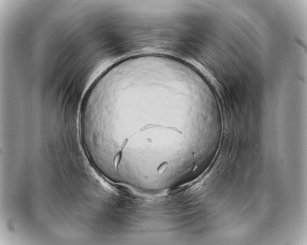 X0000096451294200802071802