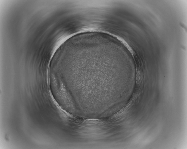 X0000096451295200802071802