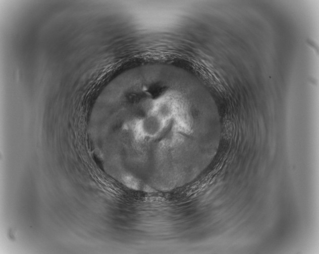 X0000096451297200802071802