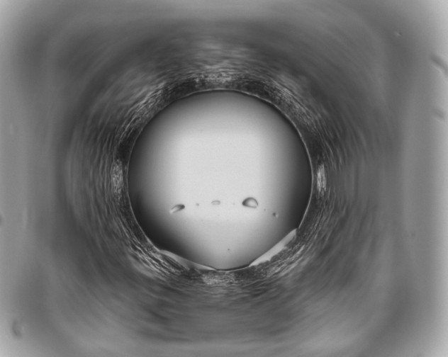 X0000096451299200802071802