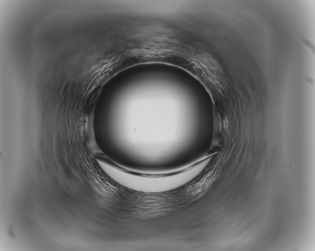 X0000096451300200802071802