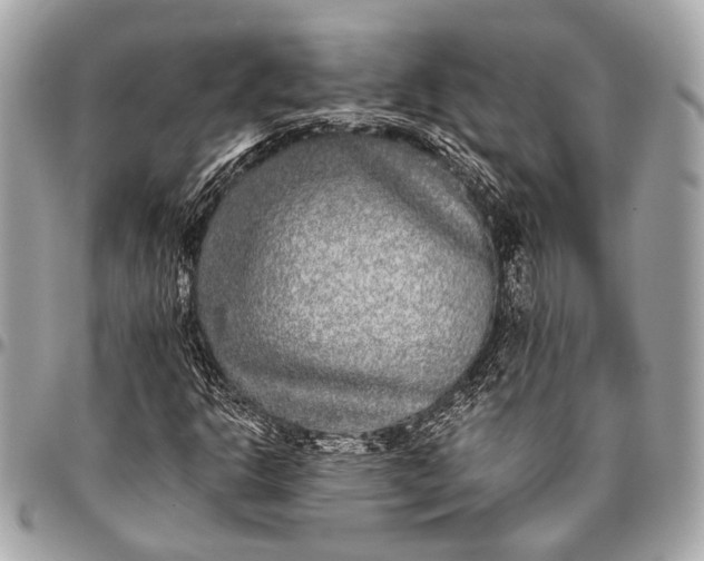 X0000096451302200802071802