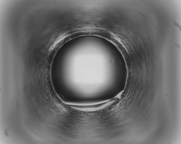 X0000096451304200802071802