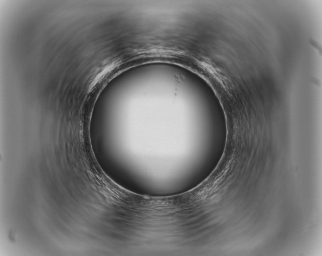 X0000096451307200802071802