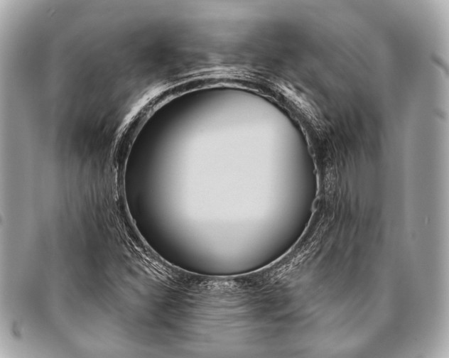 X0000096451310200802071802