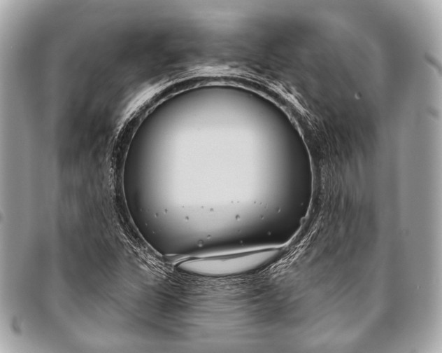 X0000096451311200802071802