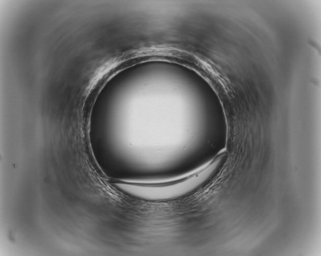 X0000096451312200802071802