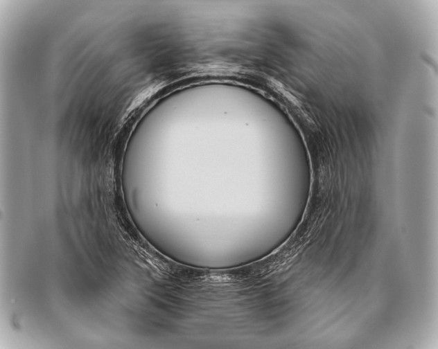 X0000096451315200802071802