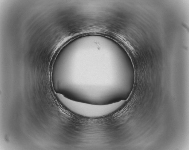 X0000096451316200802071802