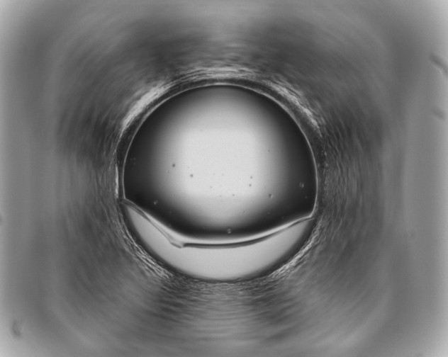 X0000096451317200802071802