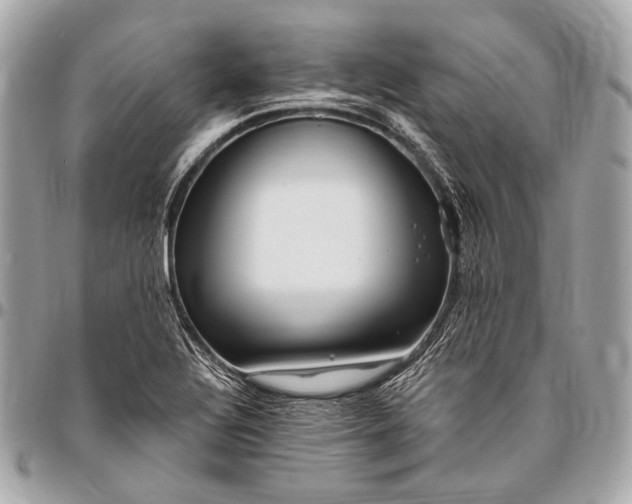 X0000096451320200802071802