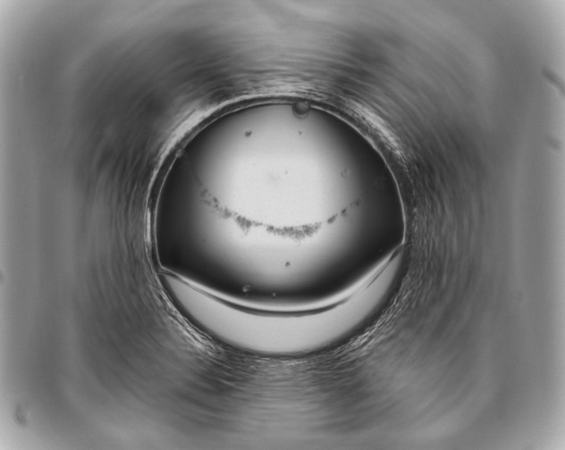 X0000096451324200802071802