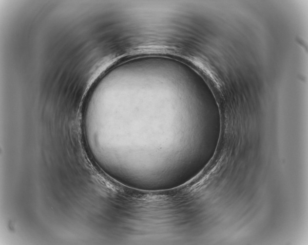 X0000096451325200802071802