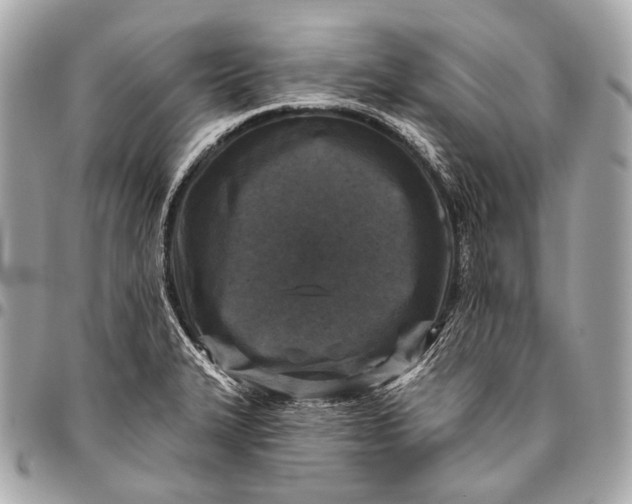 X0000096451327200802071802