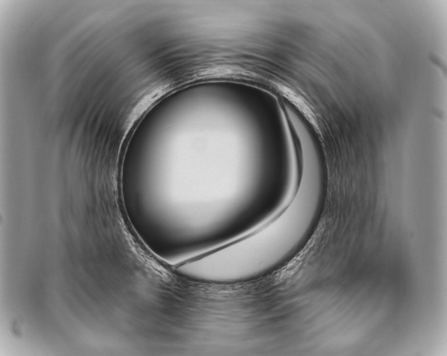 X0000096451330200802071802