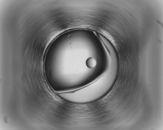 X0000096451332200802071802