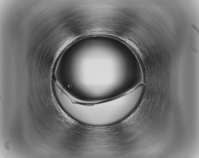 X0000096451333200802071802