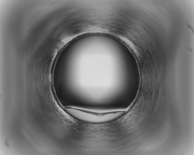 X0000096451335200802071802