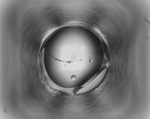 X0000096451336200802071802