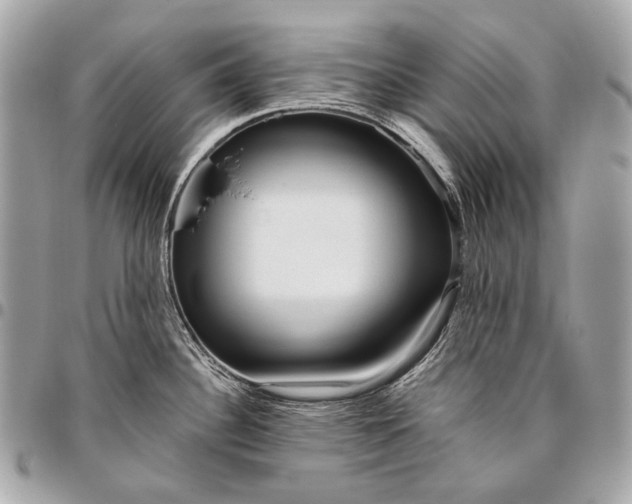 X0000096451340200802071802