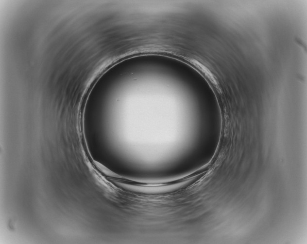 X0000096451342200802071802