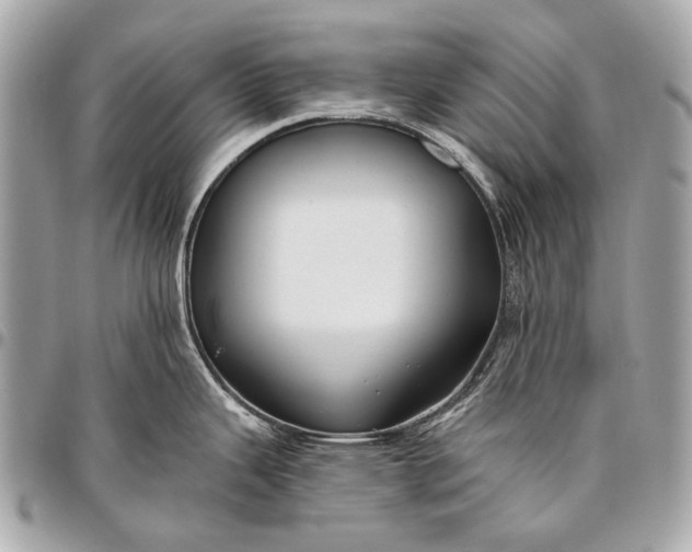 X0000096451343200802071802