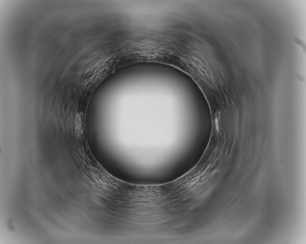 X0000096451347200802071802