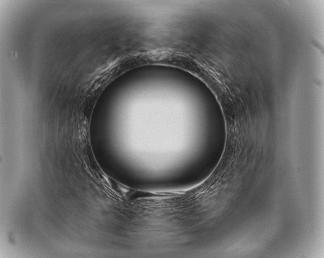 X0000096451349200802071802