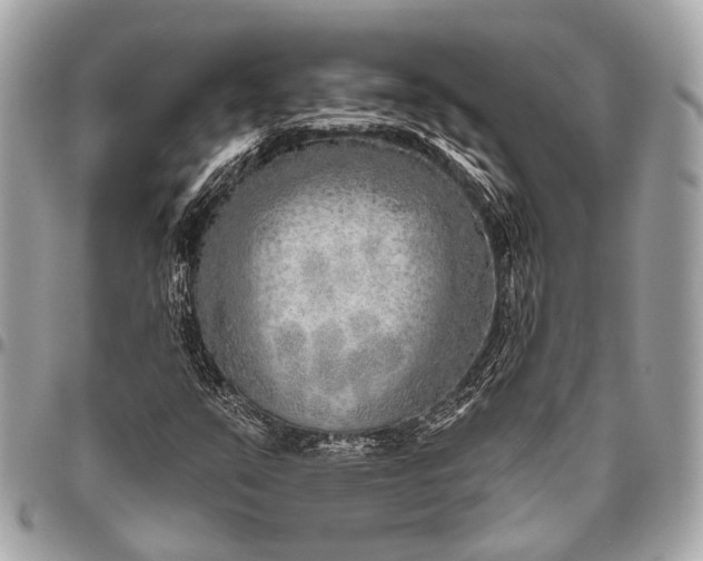 X0000096451351200802071802