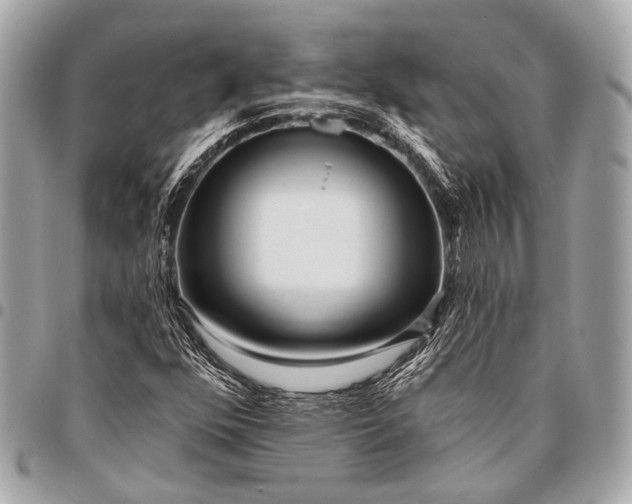 X0000096451352200802071802