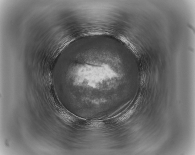 X0000096451353200802071802