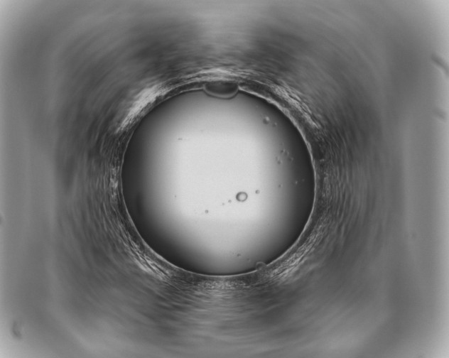 X0000096451355200802071802