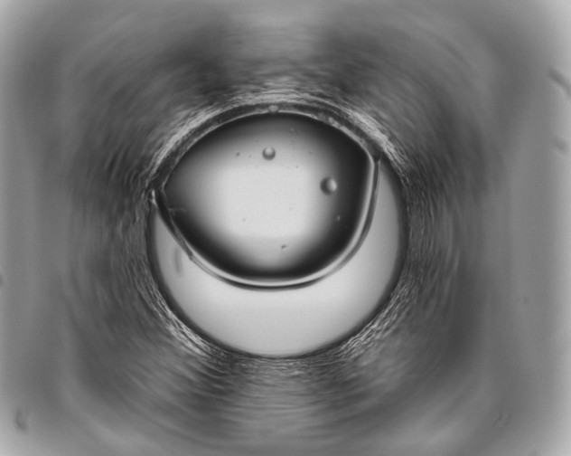 X0000096451356200802071802