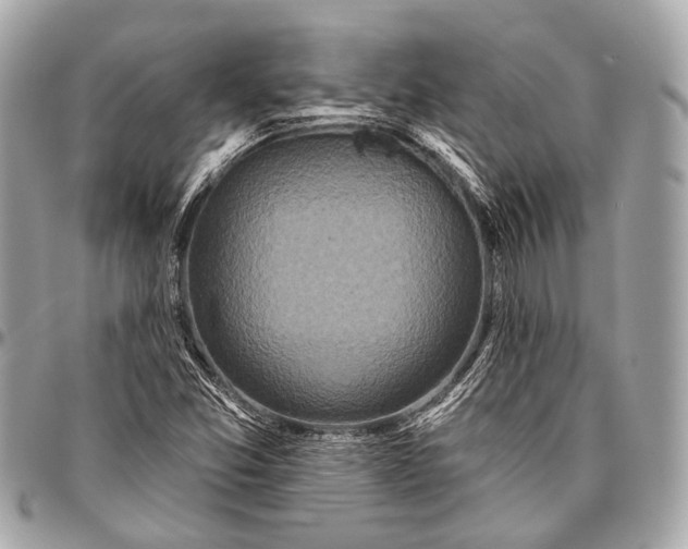 X0000096451357200802071802