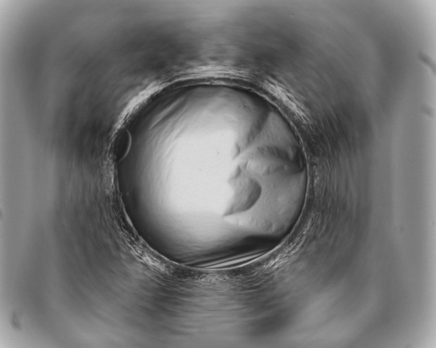 X0000096451358200802071802