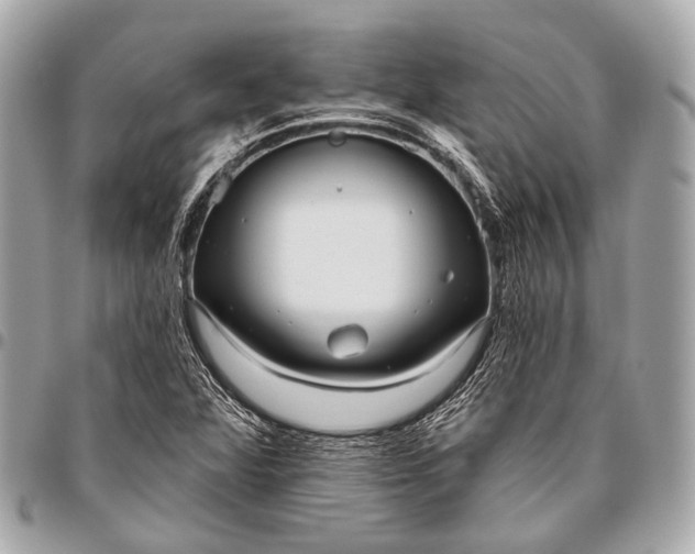 X0000096451360200802071802