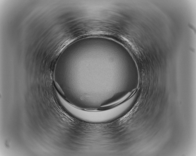 X0000096451361200802071801